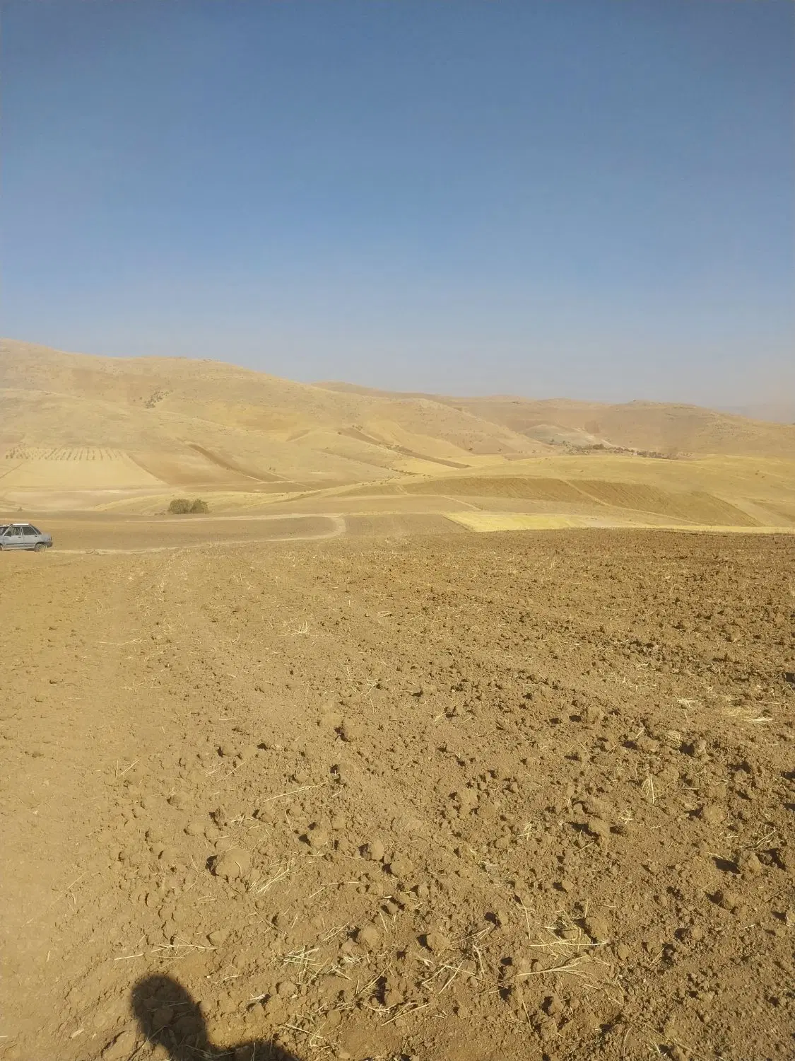 زمین گلنگی