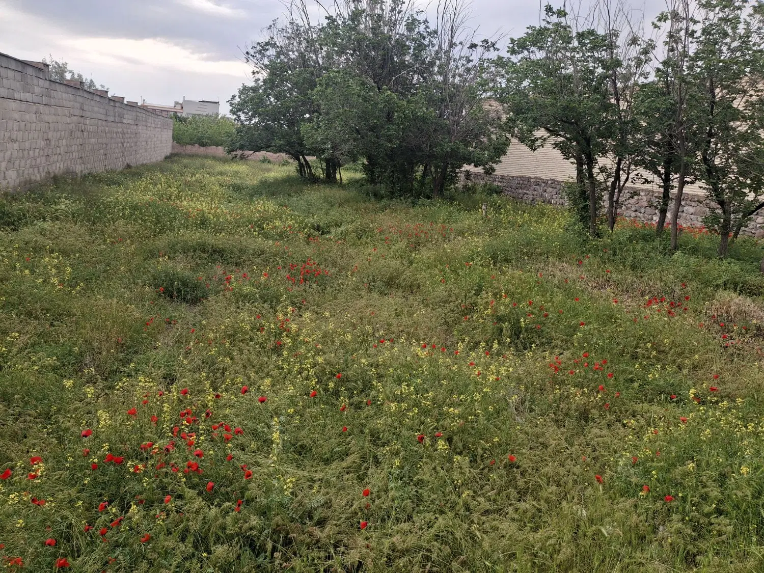 فروش یا معاوضه قعطه زمین تجاری