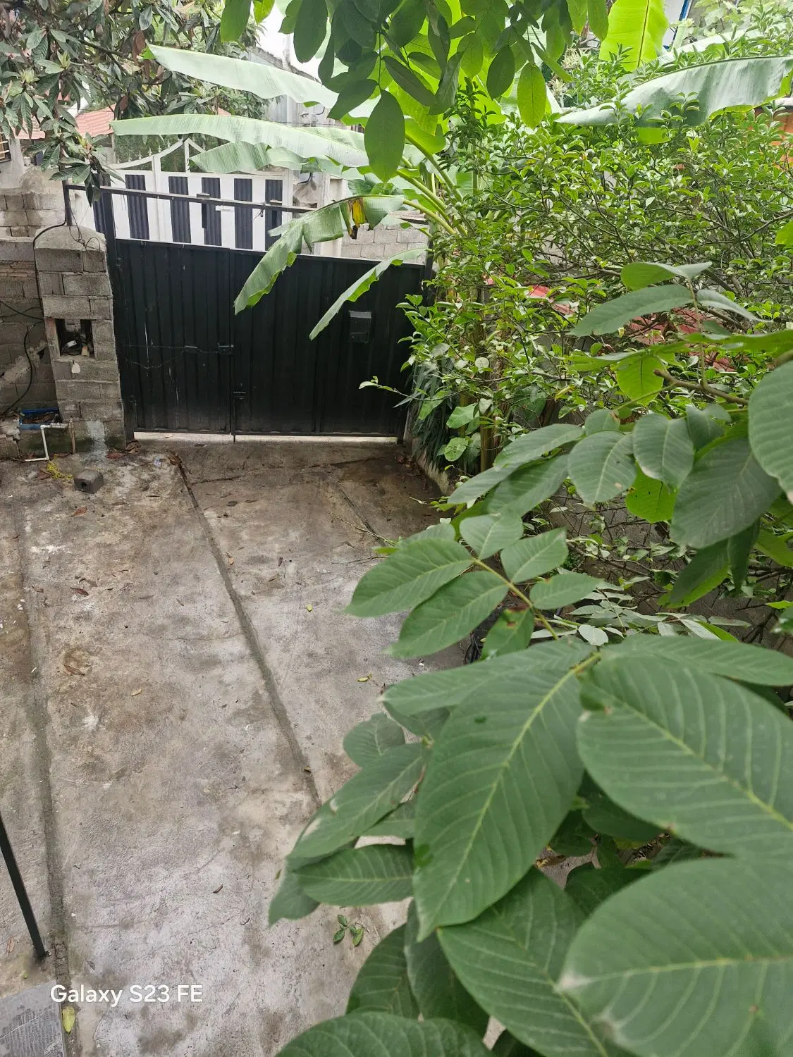 اجاره دوخوابه چالوس