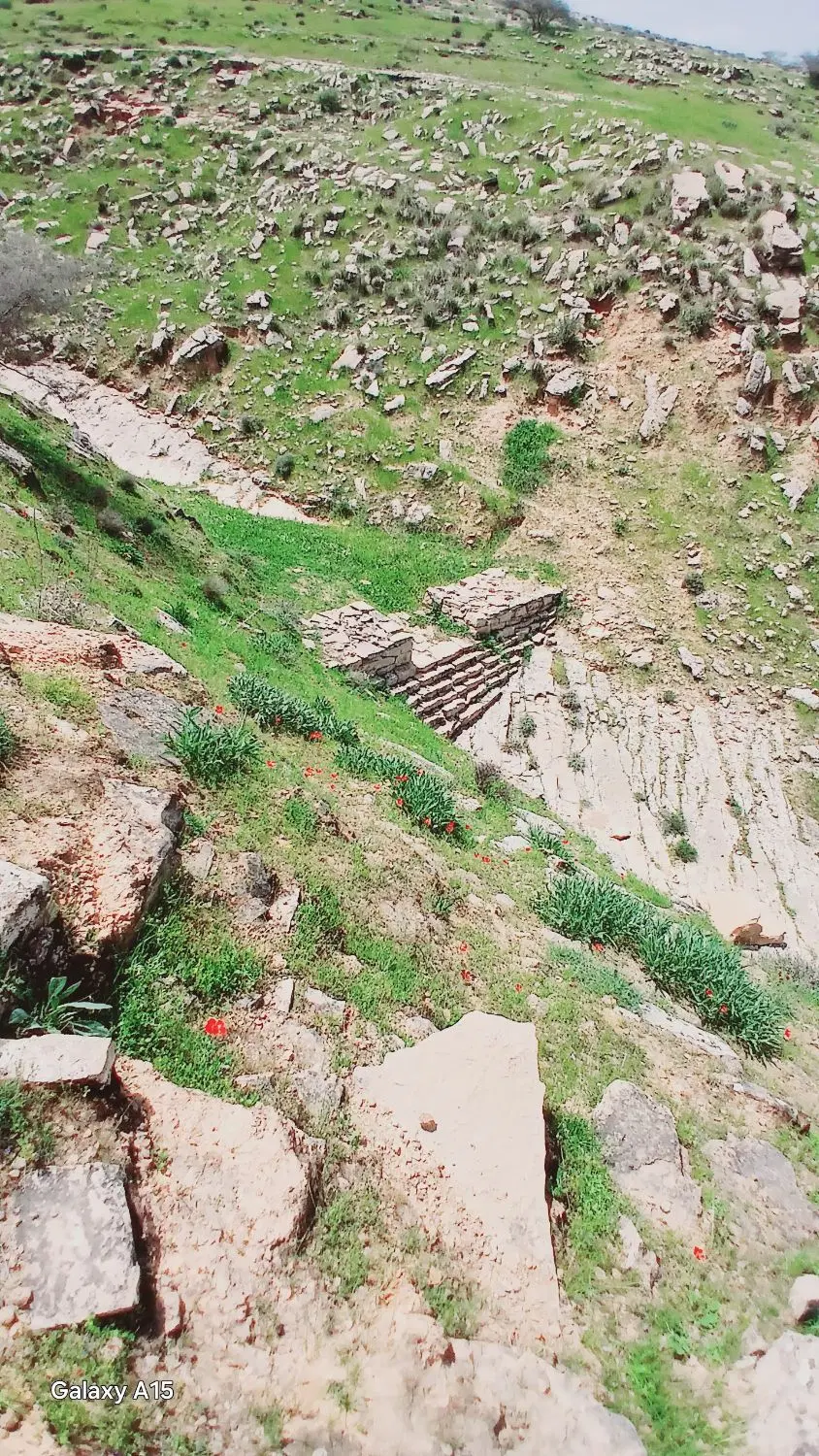 زمین بارانگرد