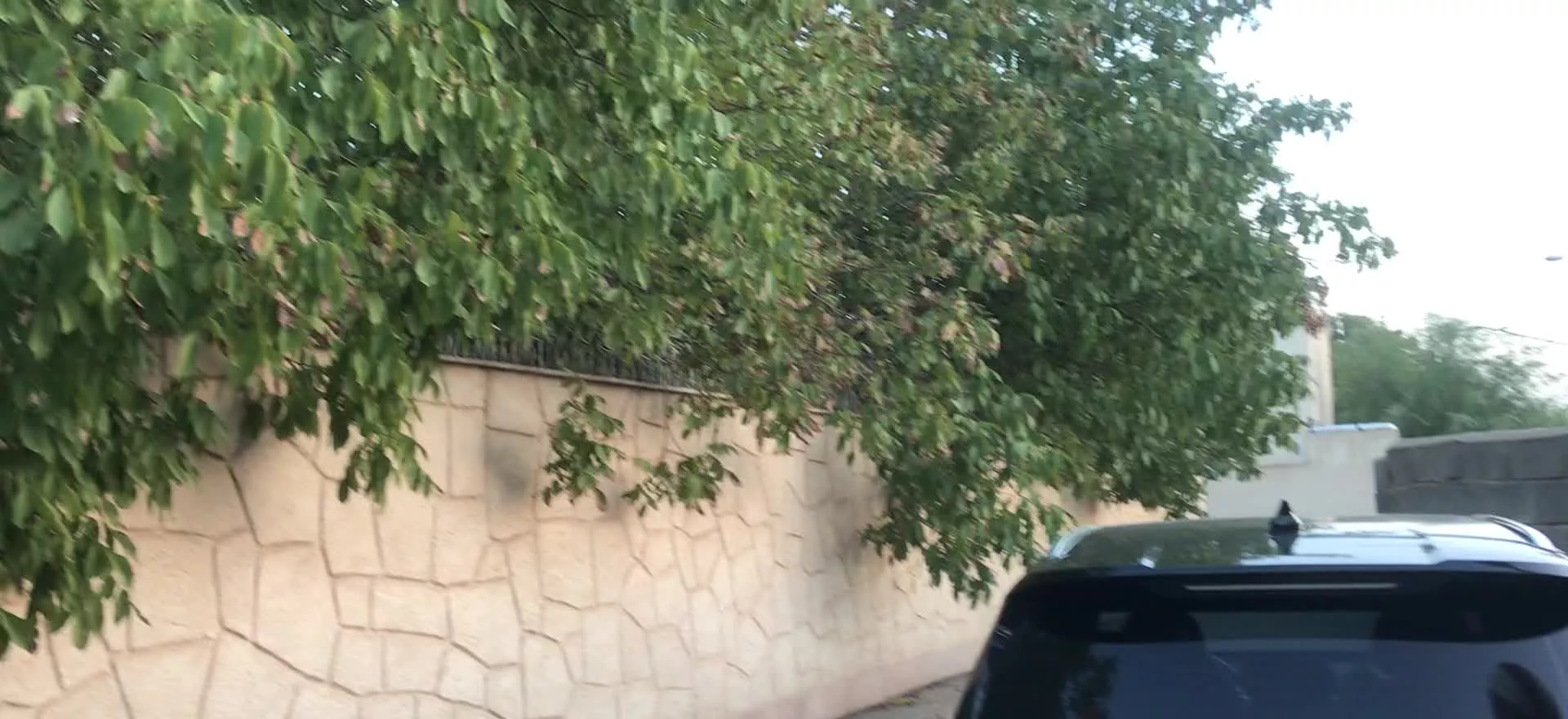 باغ ویلا