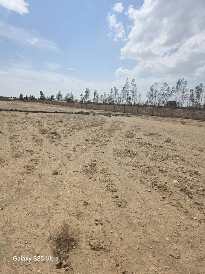 زمین کشاورزی