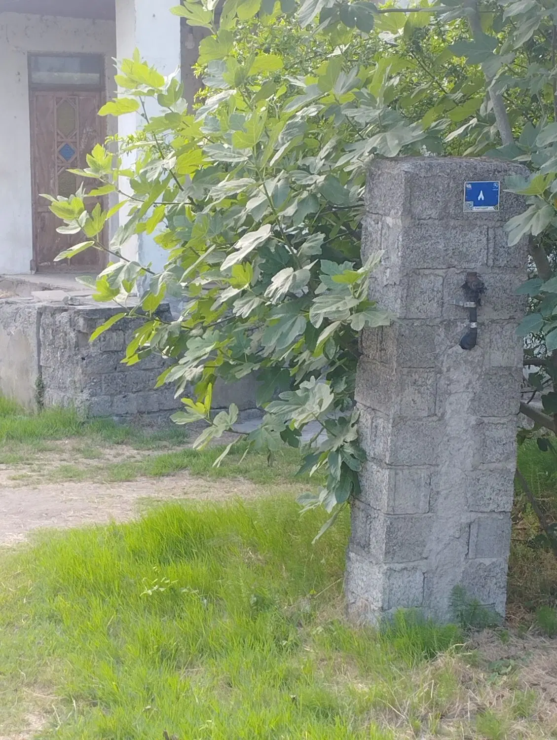 خانه کلنگی وزمین کشاورزی