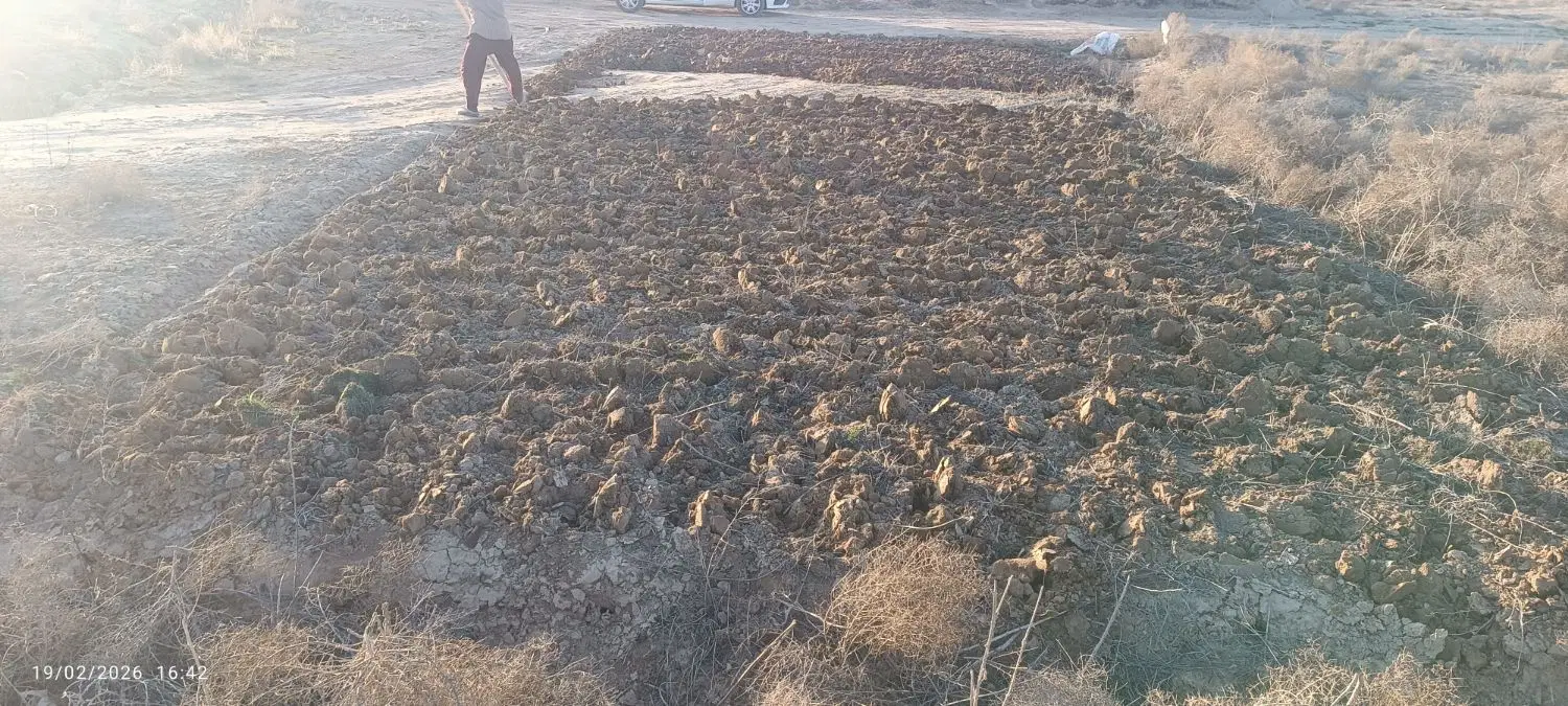 زمین باغی سند ششدانگ