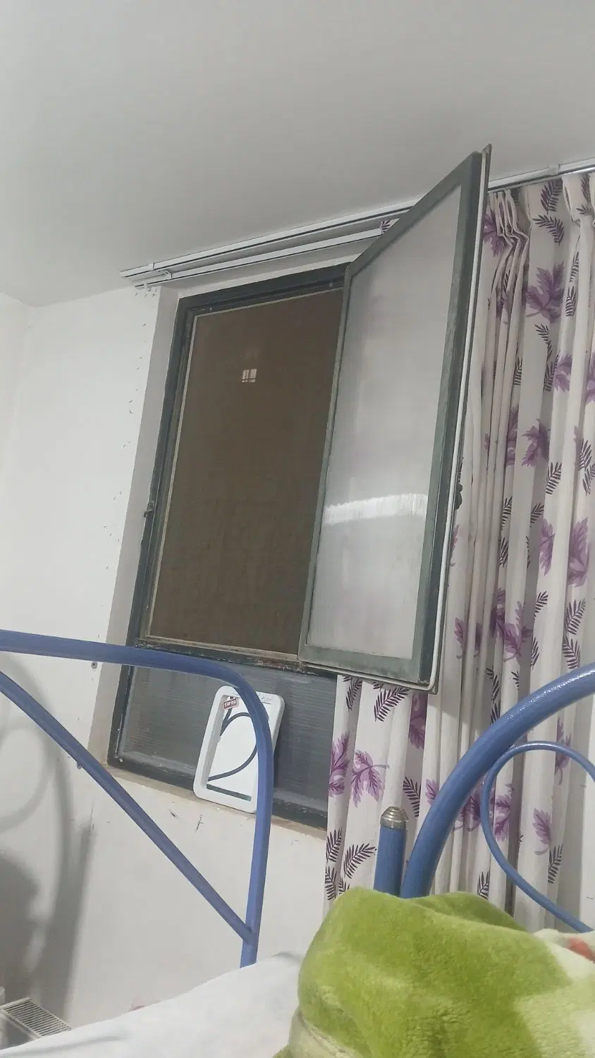 همخونه خانم