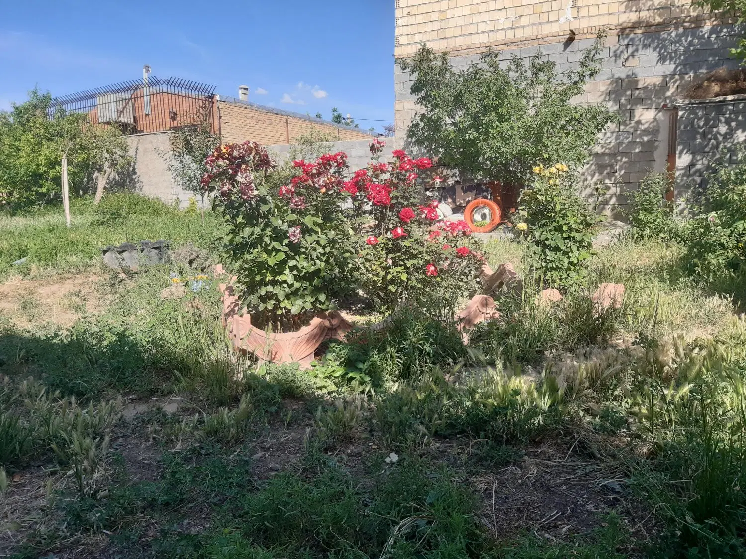 باغ ویلا مرکز شهر