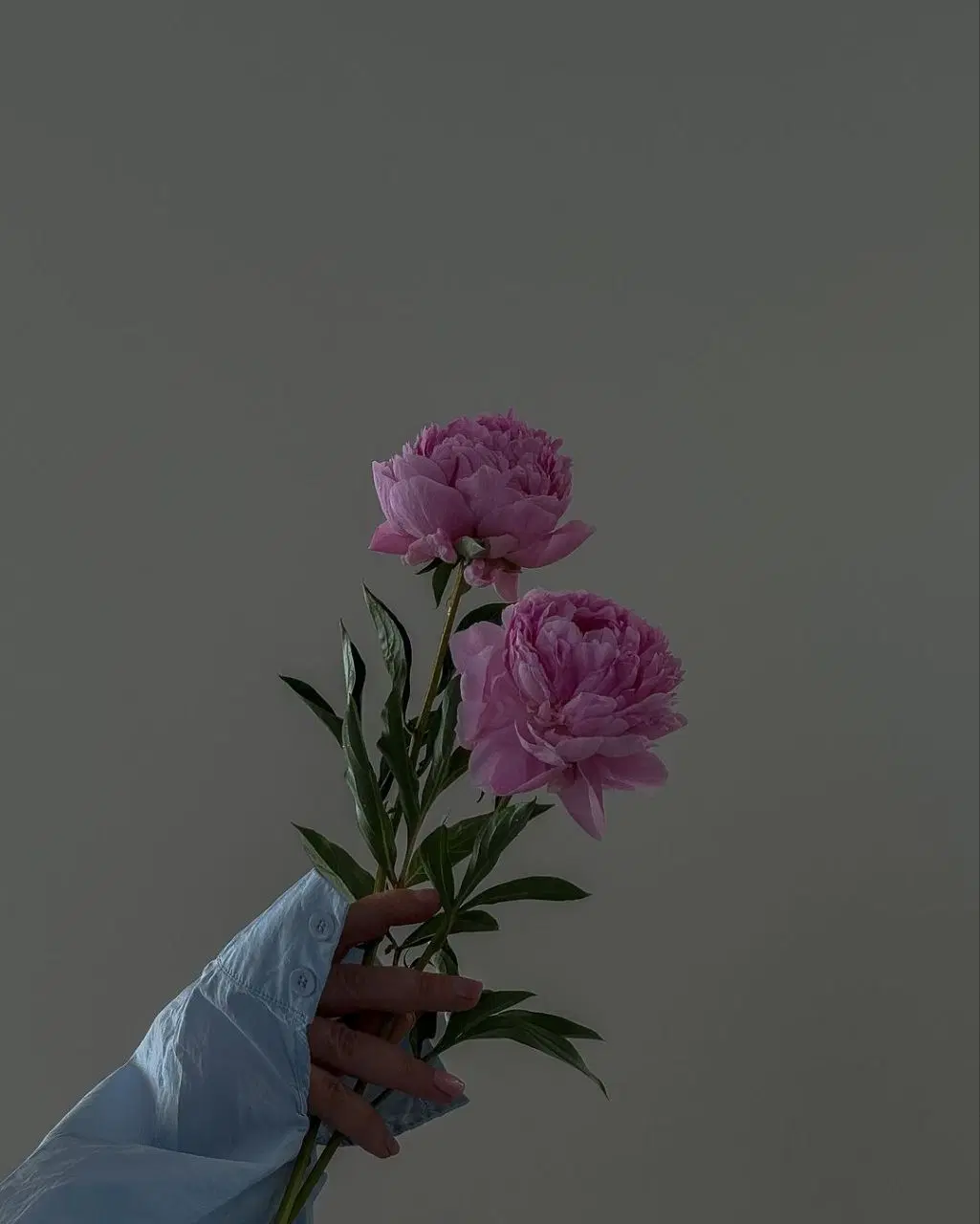 باغ