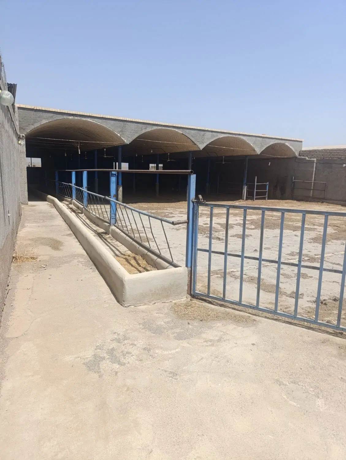 دامداری اجاره ای