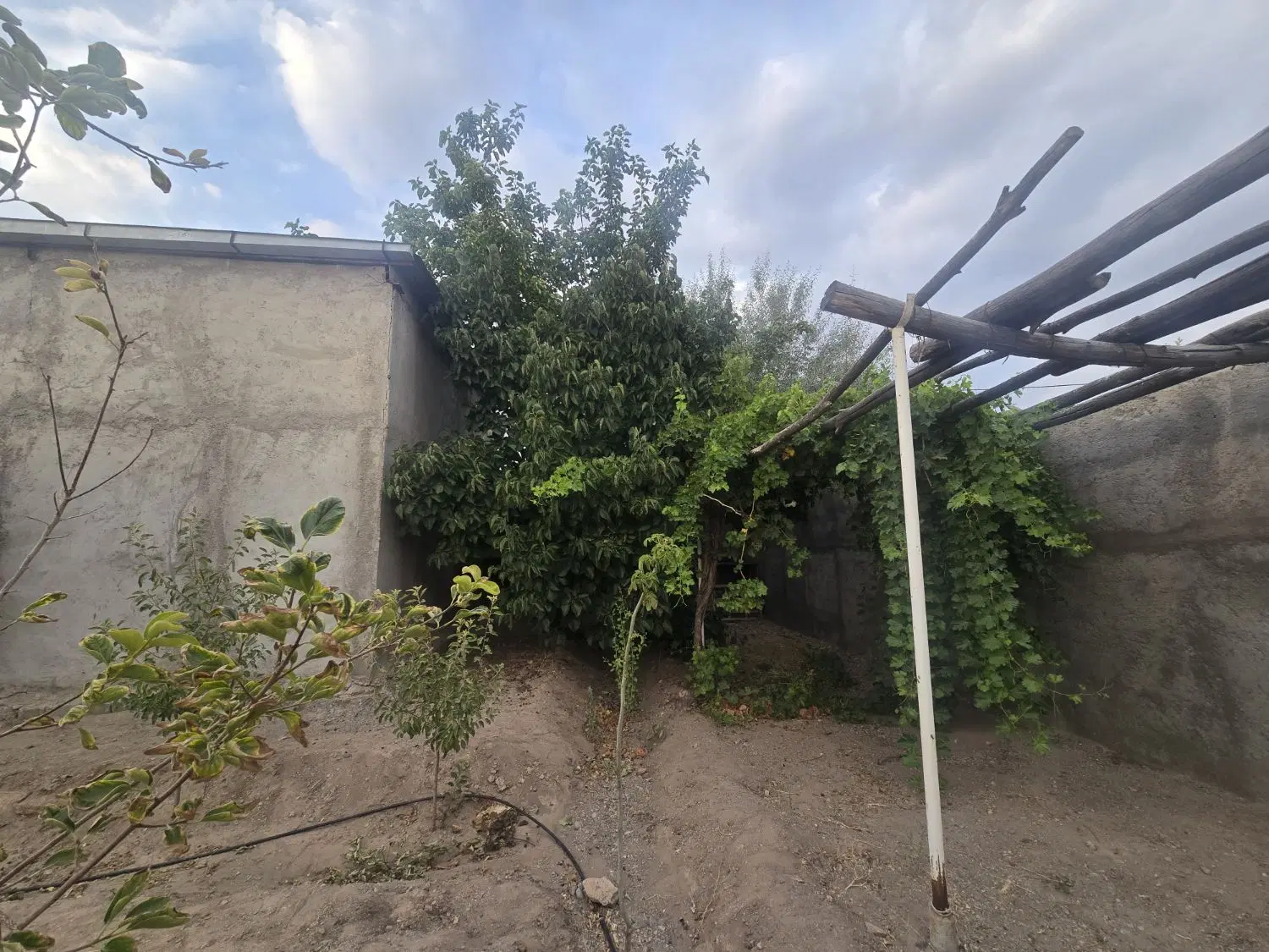 فروش ۵۵ قصب خانه باغچه  روستای ده مرغی سند تک برگ