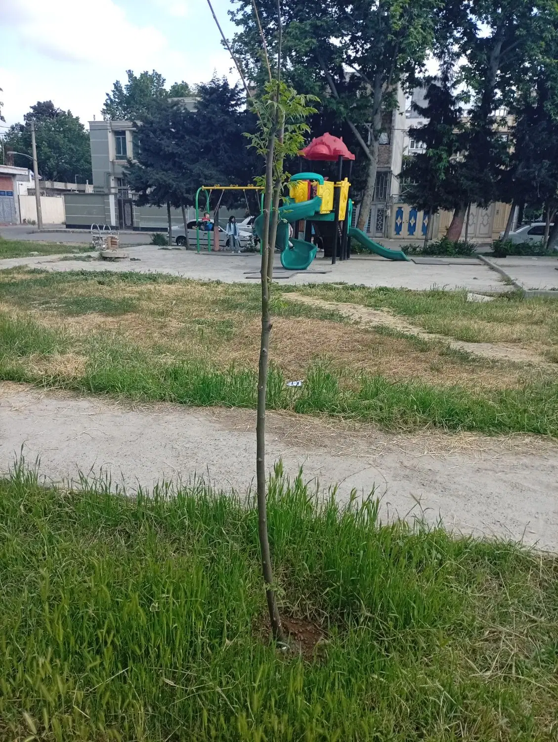 فروش زمین داخل ساخت وساز