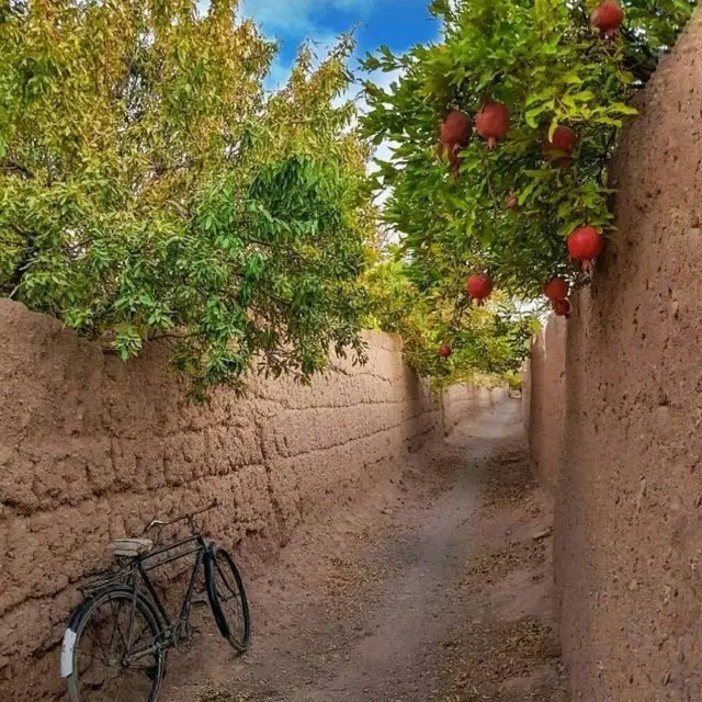 خونه اجاره‌ای سالیانه دربست ۶۰ متری