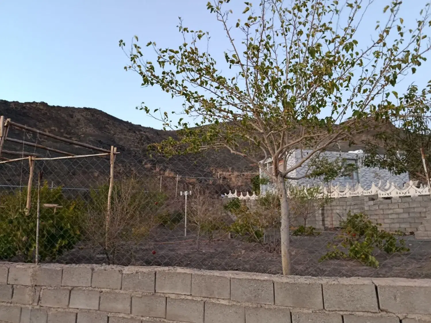 باغ (سنگ سفید.. رازقند)