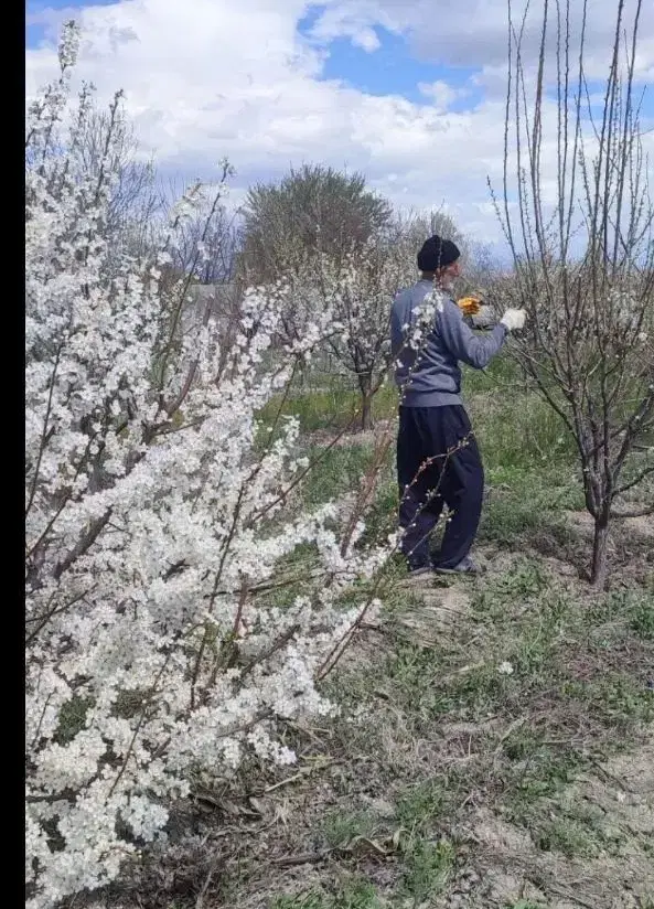 باغ