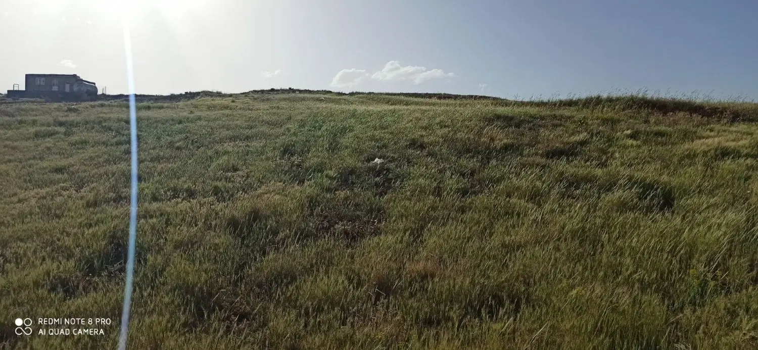 فروش زمین مسکونی در روستای مزرعه محمودی قزوین