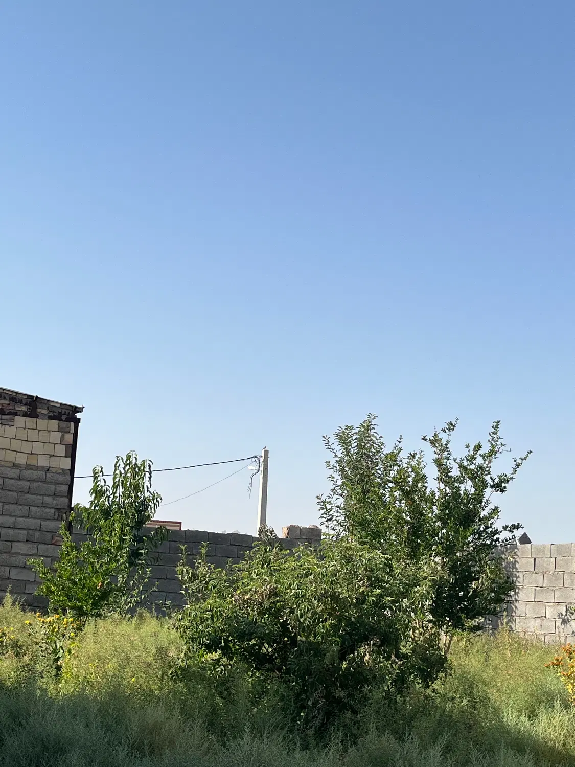 فروش زمین
