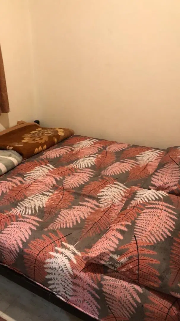 به صورت شبانه