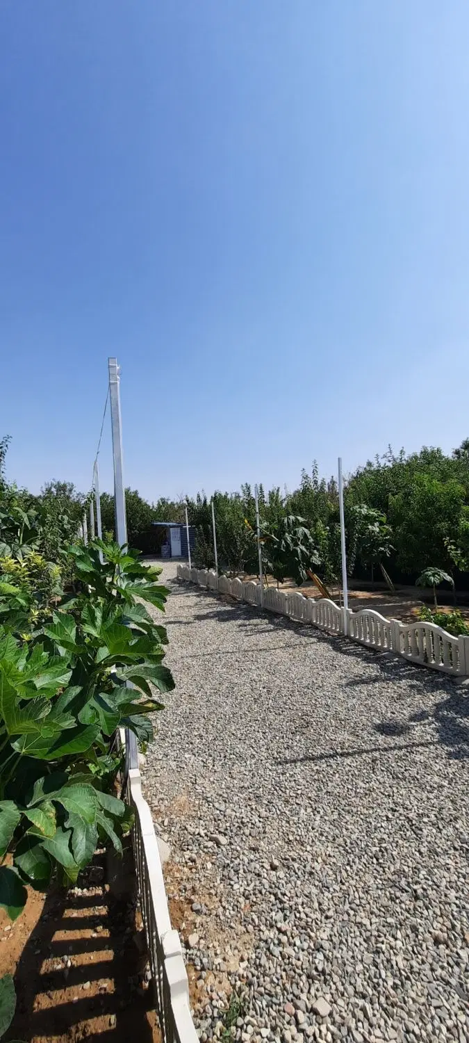 باغچه بسیار زیبا 540 متری