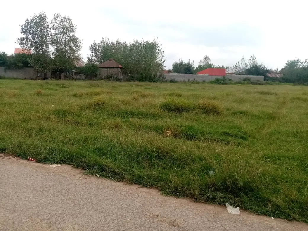 زمین مسکونی روستایی بکر