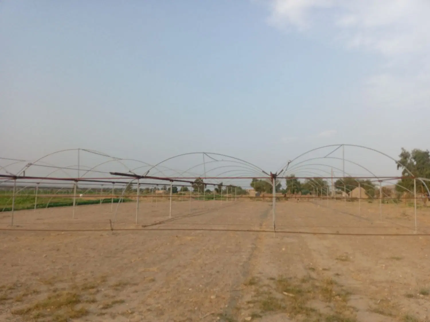 گلخانه