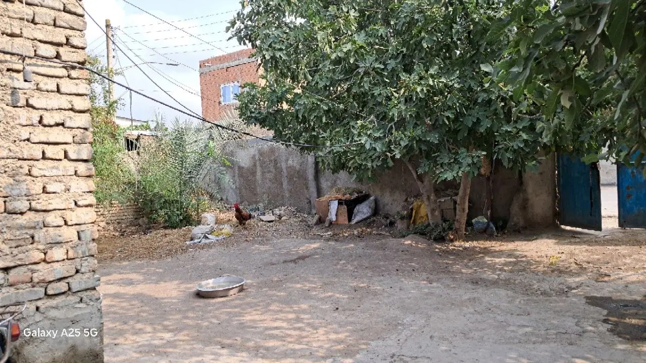 زمین