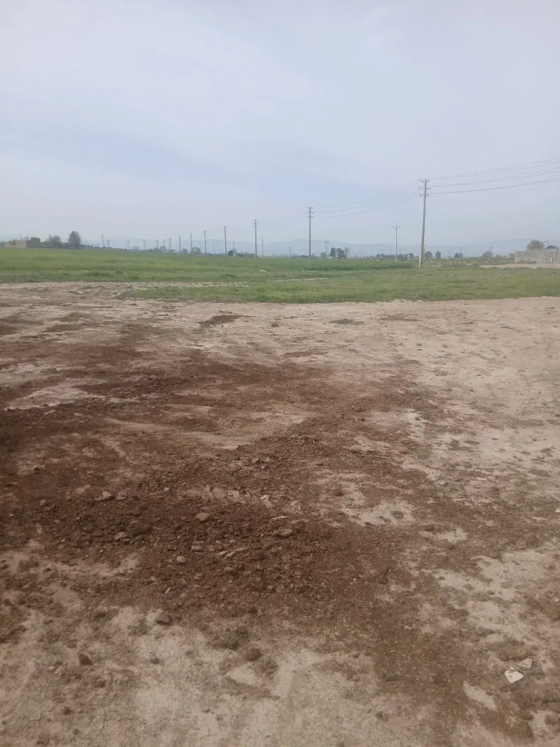 زمین 2800مترمربع روستای فیروزی