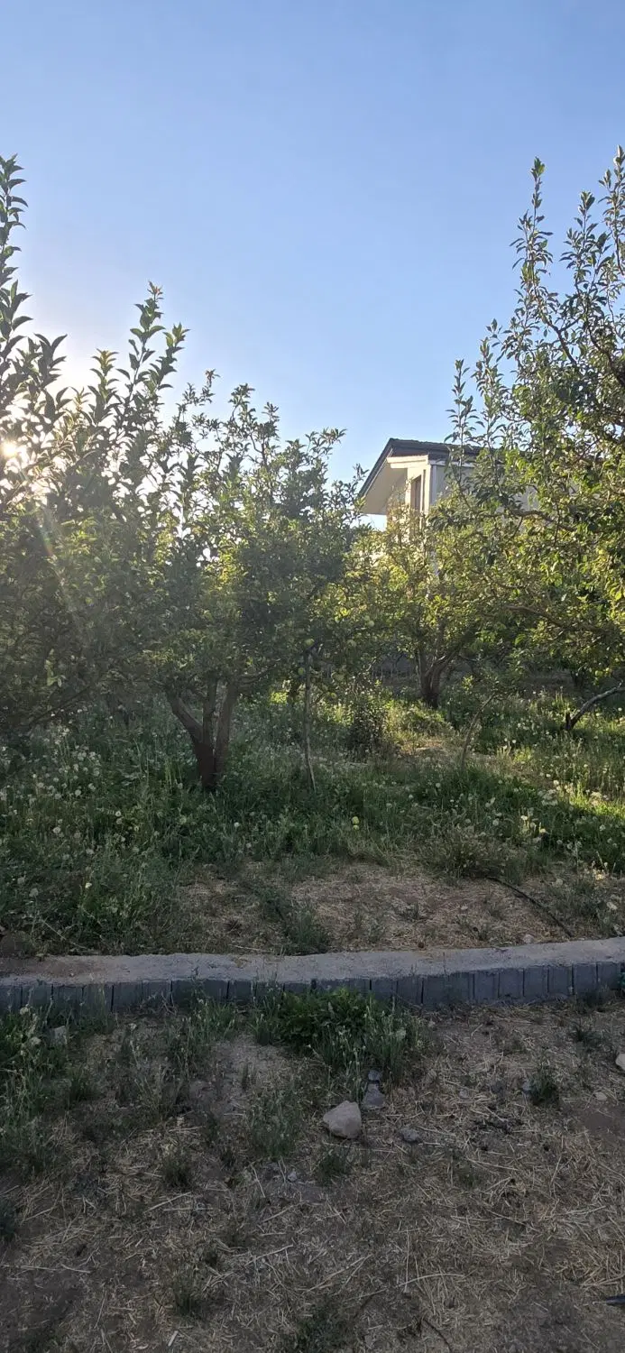 باغچه ۳۰۰ متری دماوند جابان