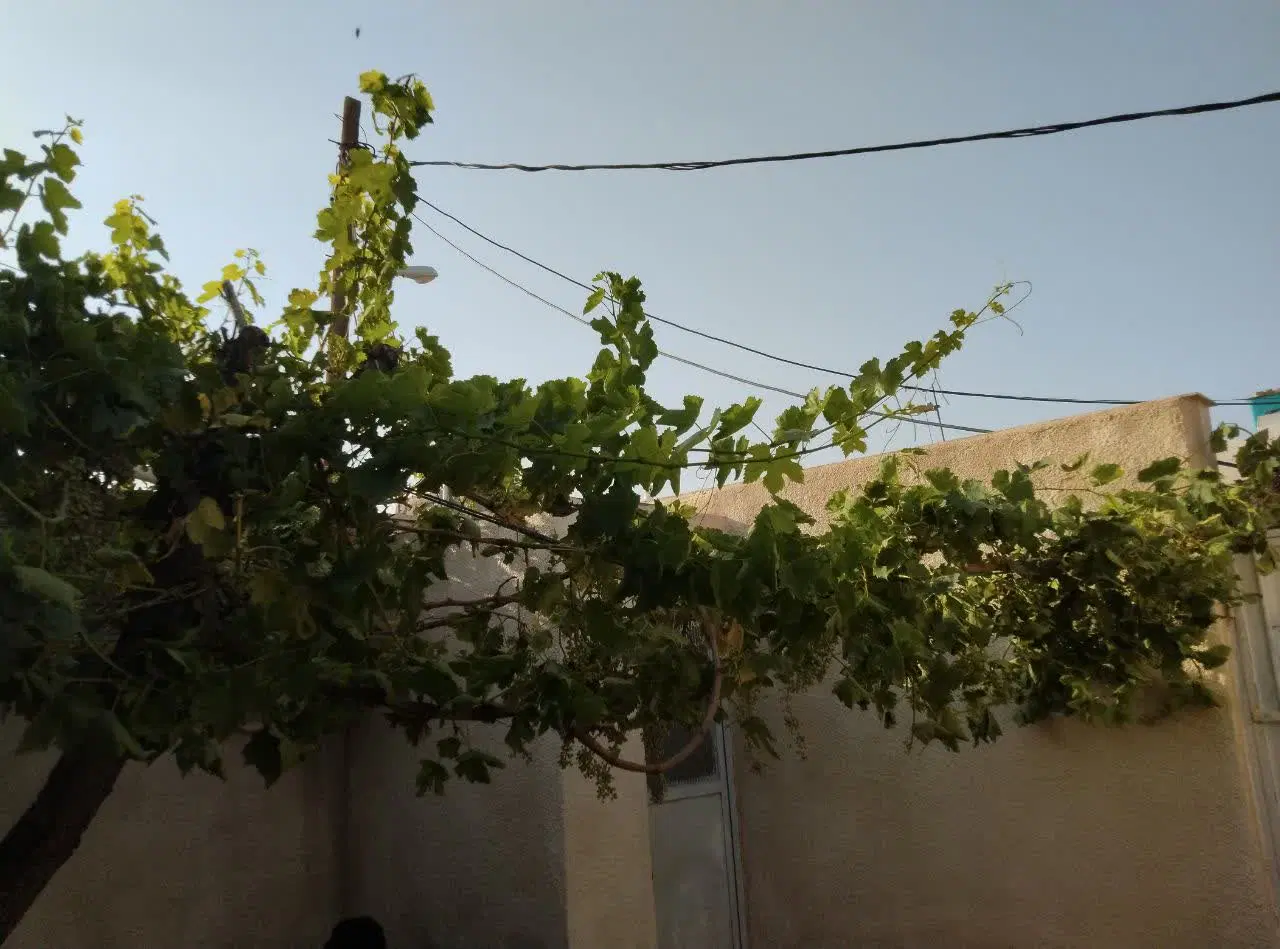 اجاره خانه دربست شریفیه