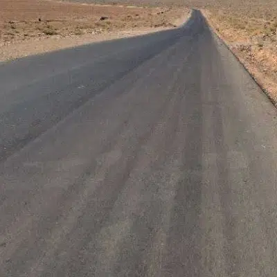 زمین سند تک برگ