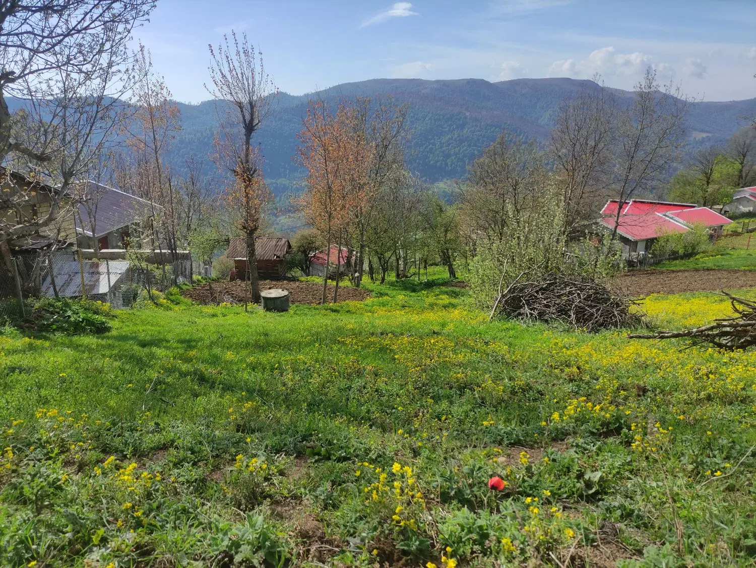 فروش زمین