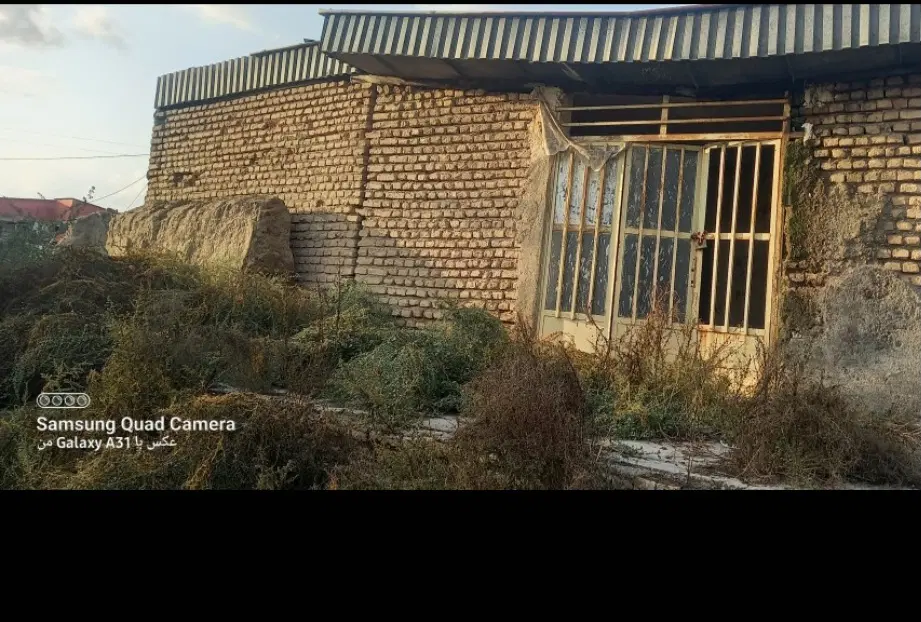 ‌. طثطسشیz