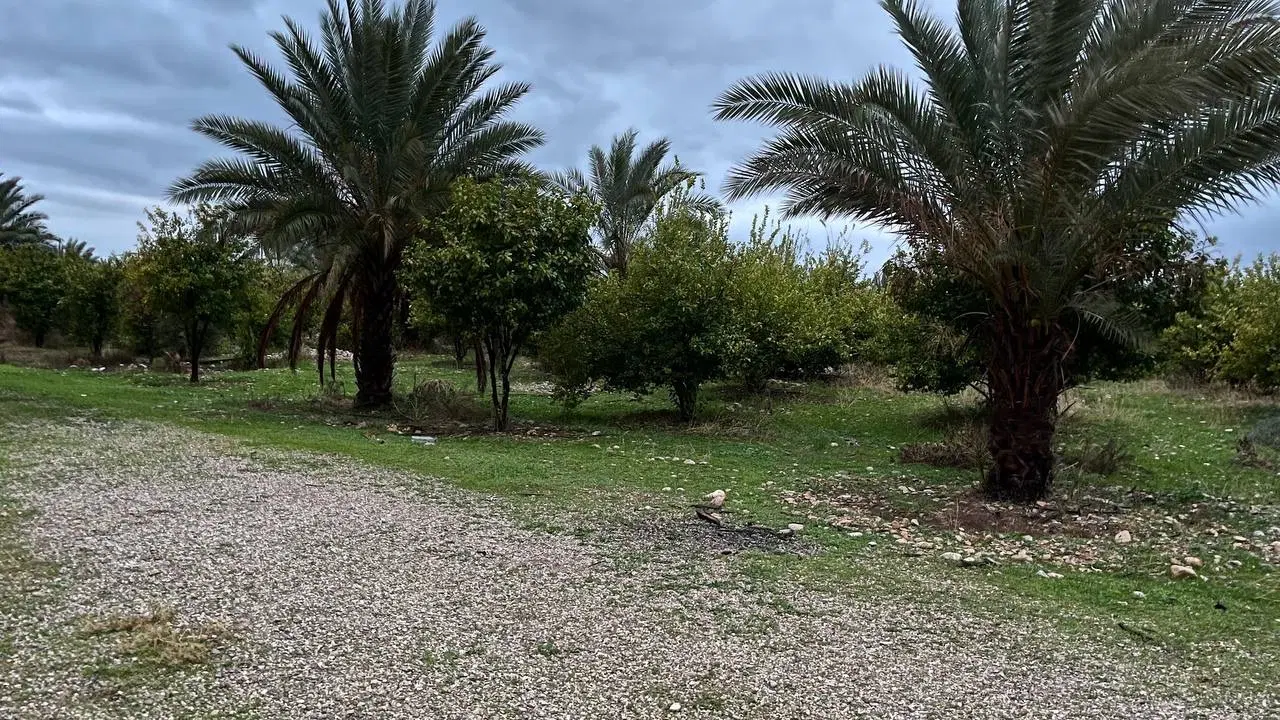 فروش زمین کشاورزی و باغ