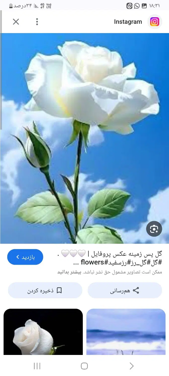 اسکان رایگان زوج جوان در ازای نگهداری سالمند