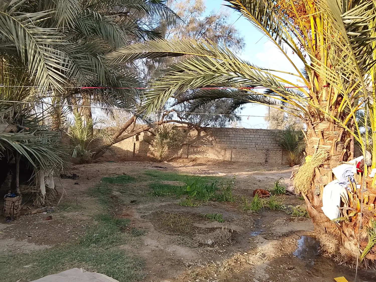 زمین فروشی داب عیسی سپاهی 2بهترین جا