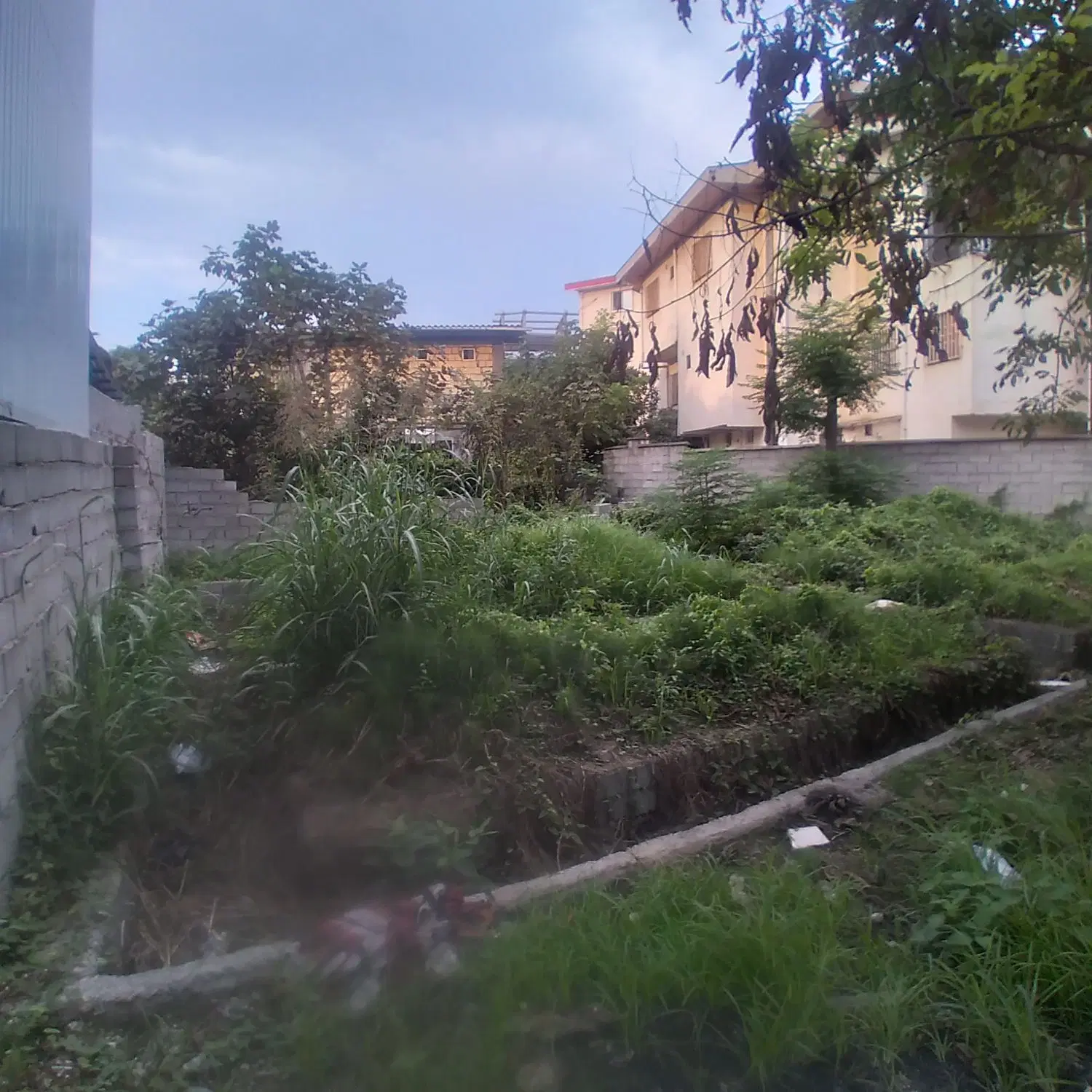 زمین