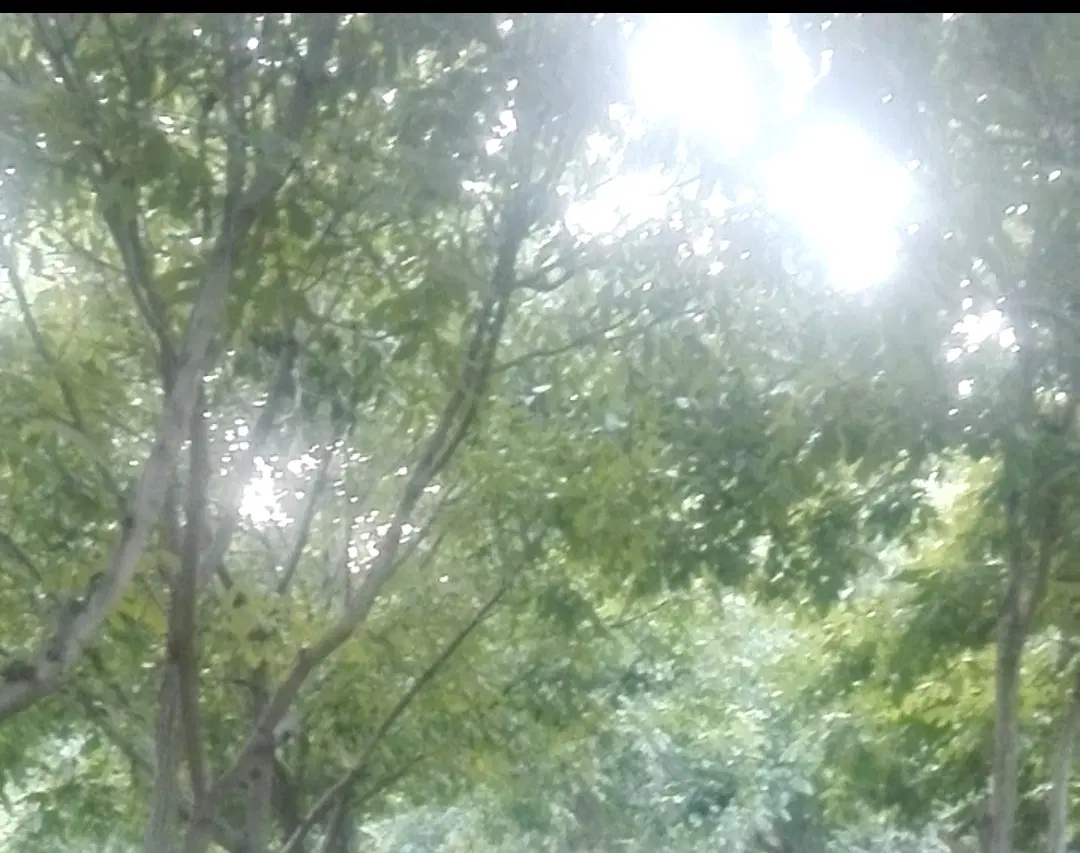 فروش باغ