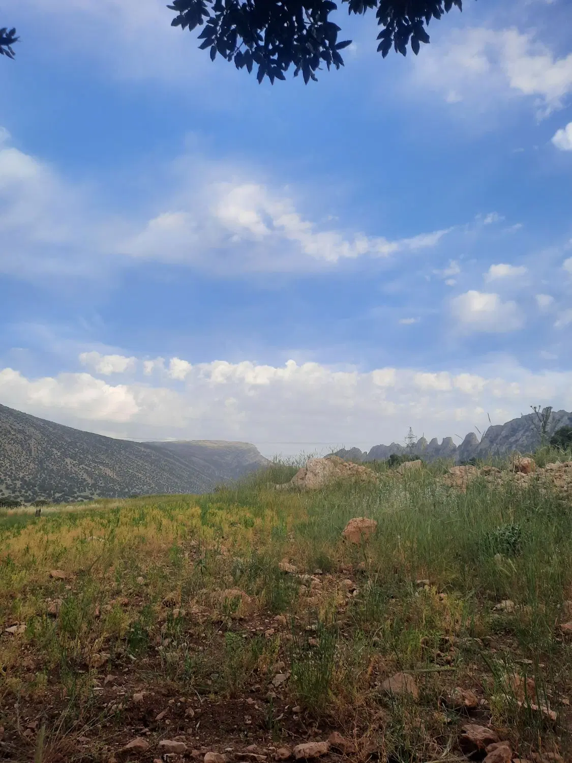 فروش زمین