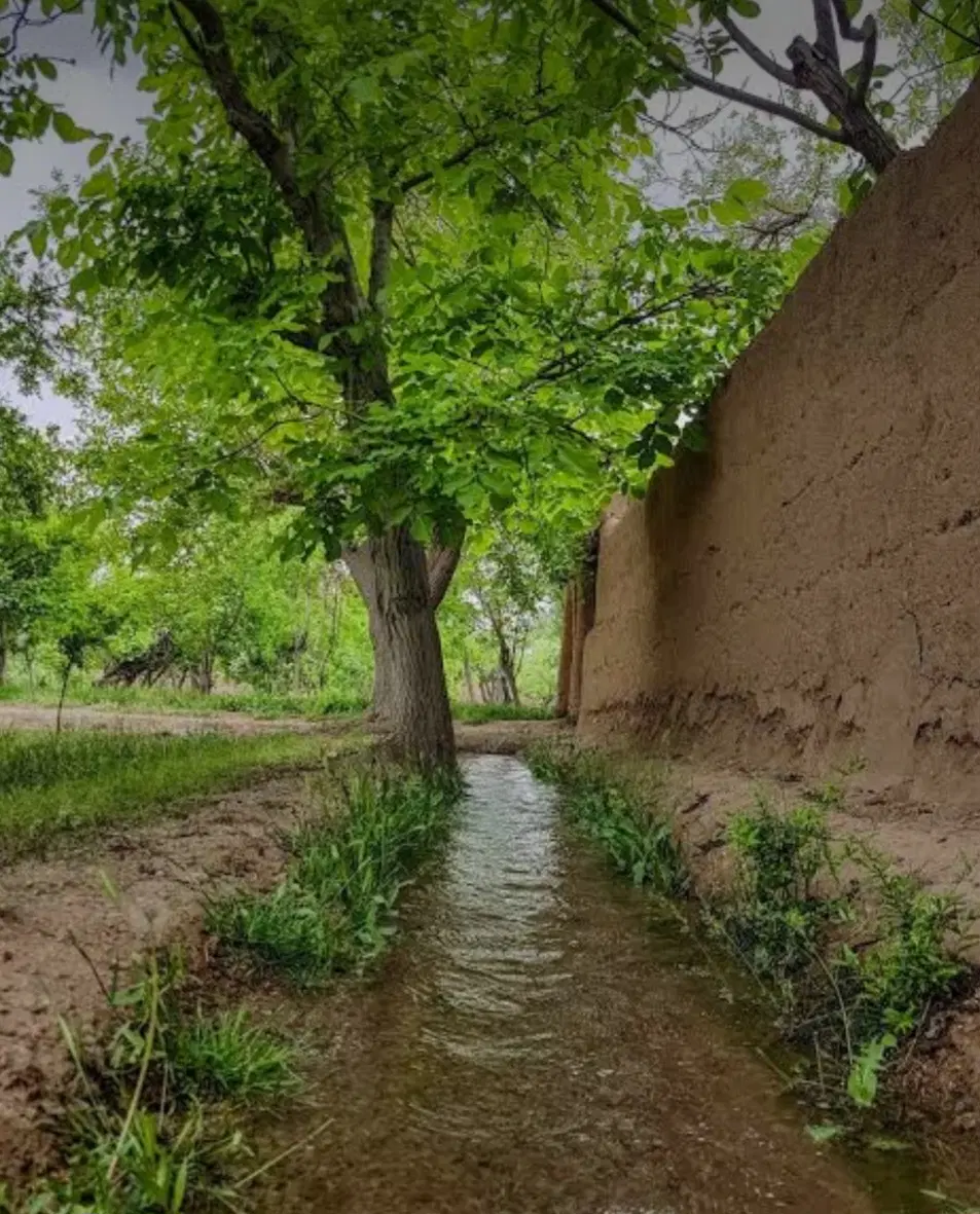زمین باغ