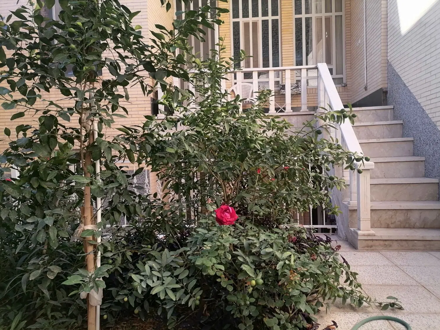 منزل بلوار پاسداران 52