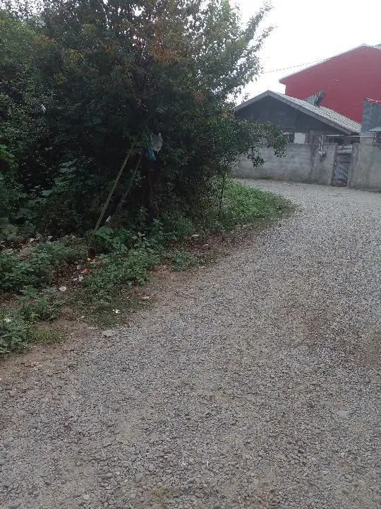 خانه کلنگی و باغ میوه