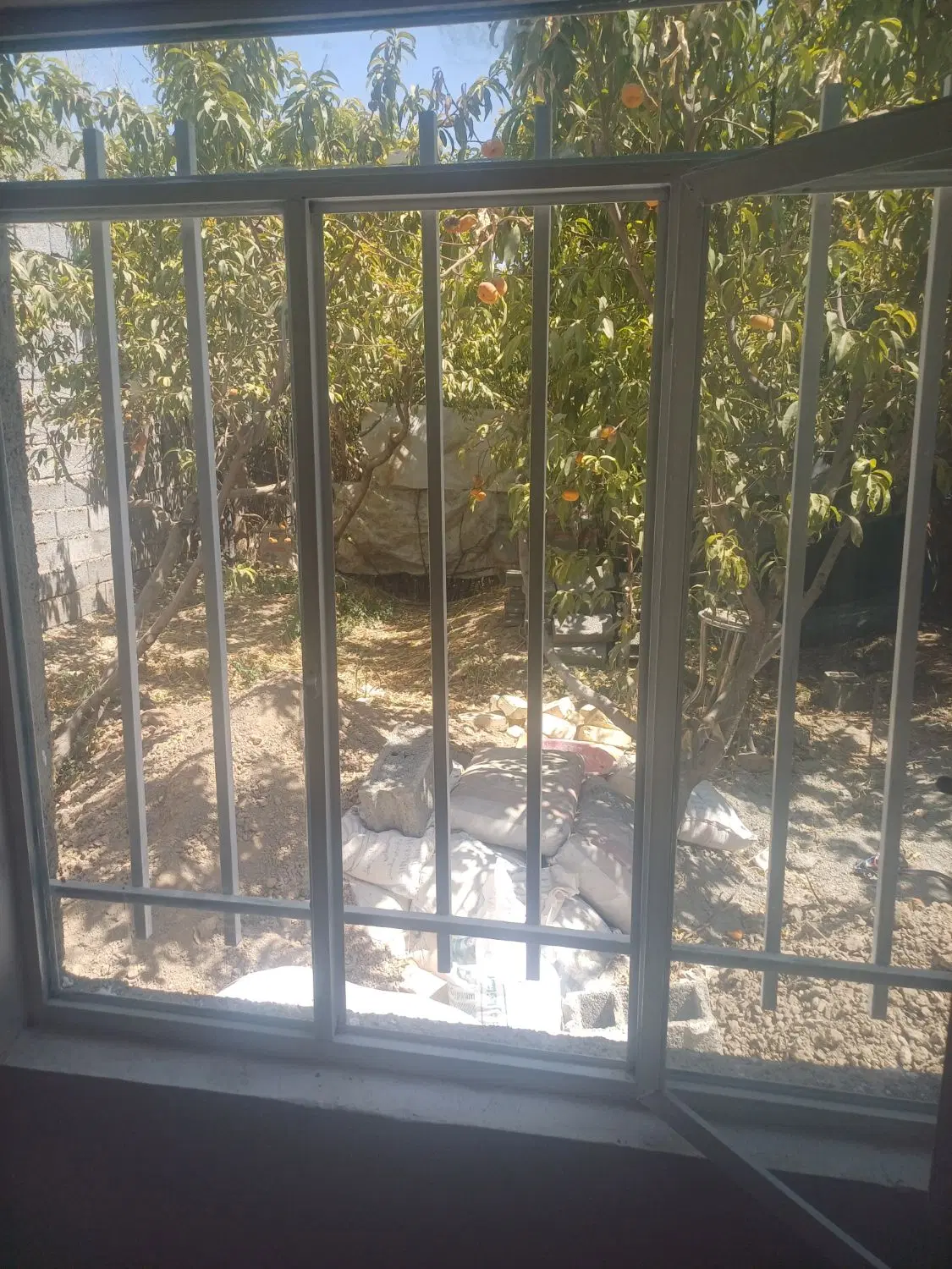 باغچه ۲۵۵ متری