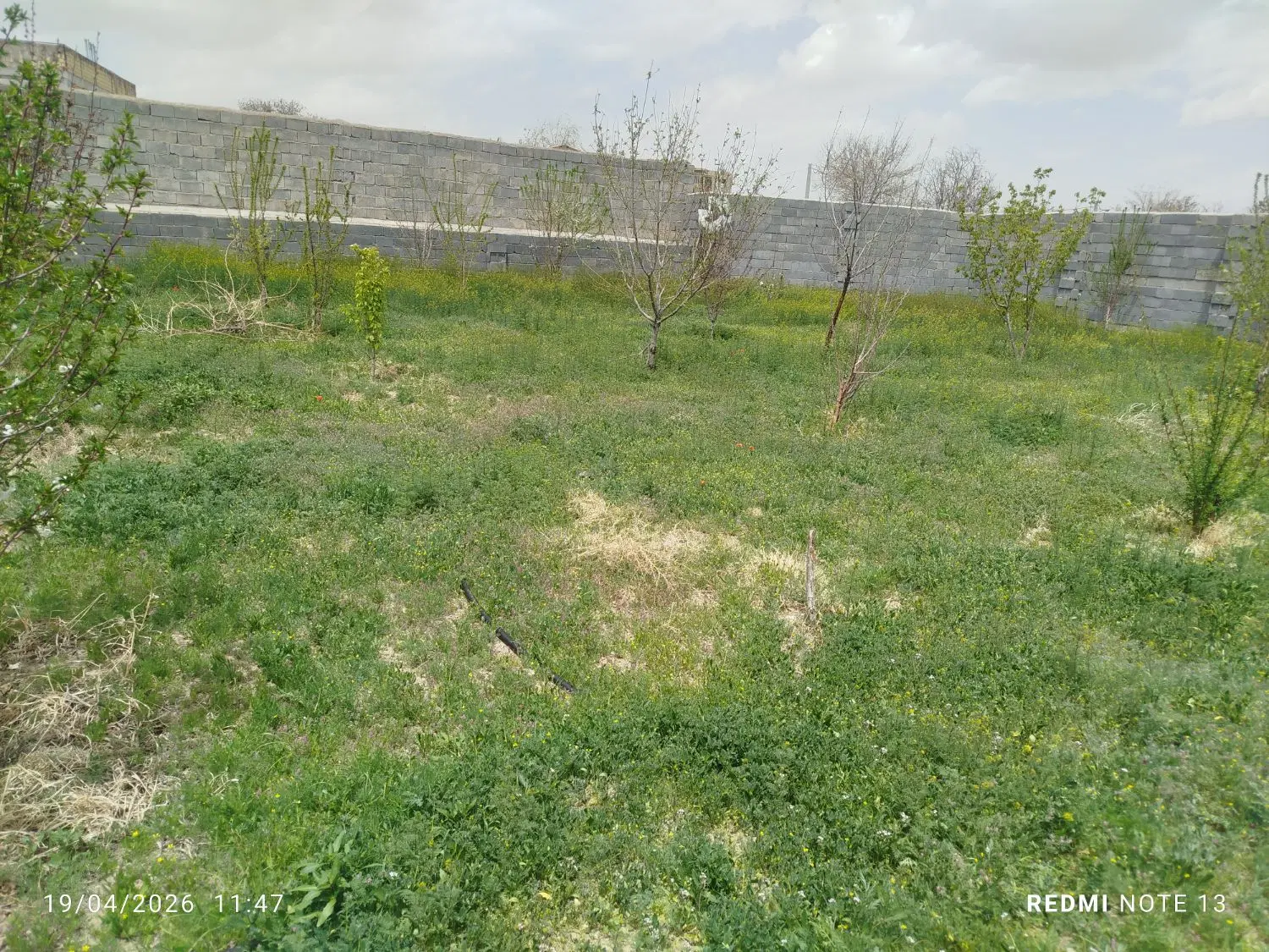 زمین روستای ریحان پایین داخل طرح