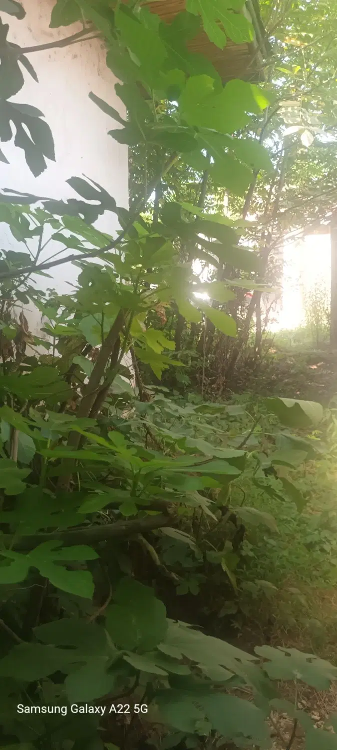خانه ویلایی