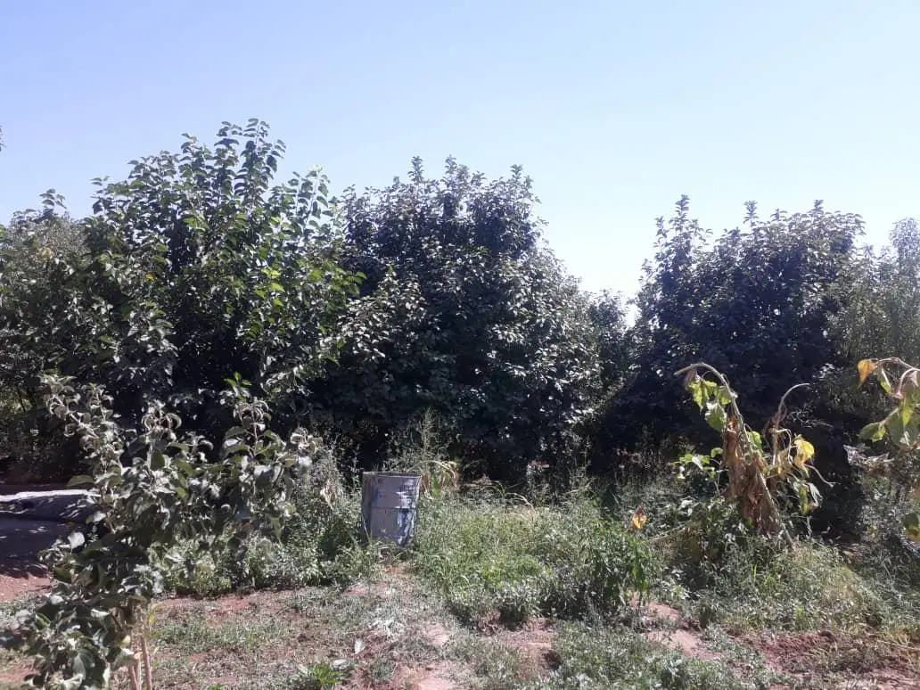 خانه و باغ ۲۵۰۰ متری در دشت لوئین_نیم ساعت تا ساوه
