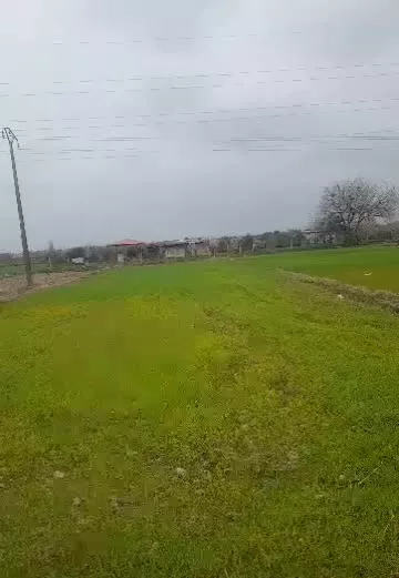 زمین کشاورزی