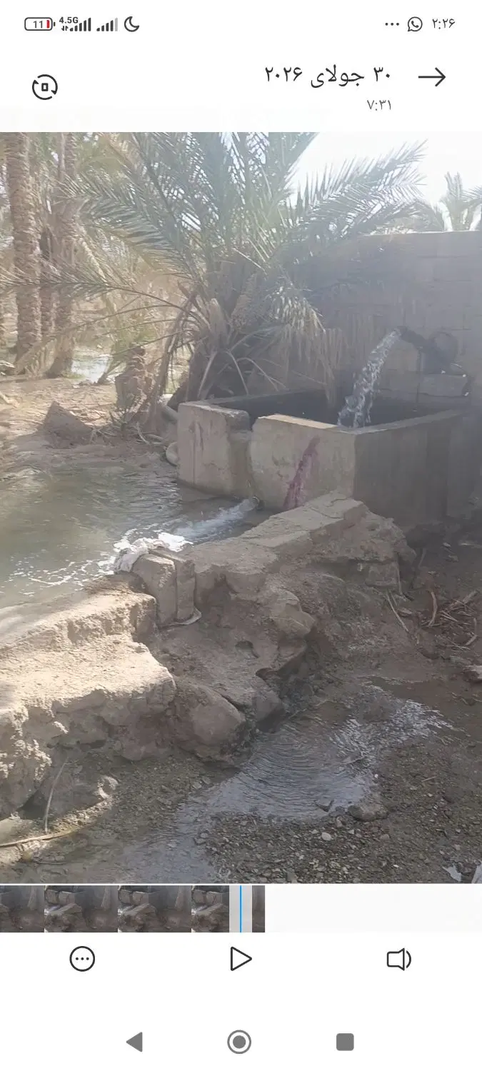 باغ فروشی