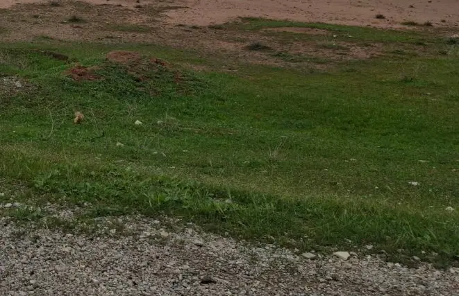 شهرک قدس