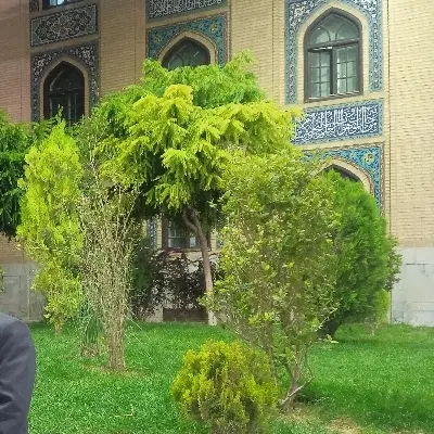 زمین ناصردین