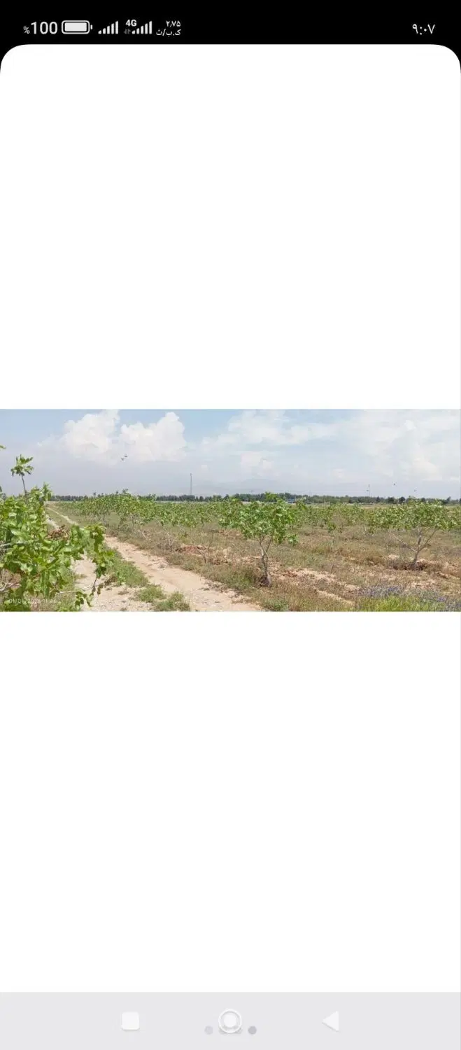 باغ پسته معاوضه یا فروش