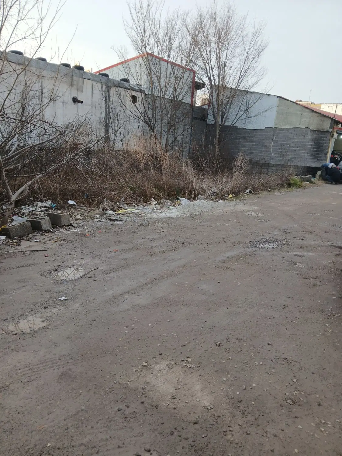 ۲۹۷ متر سندتک برگ عرفان