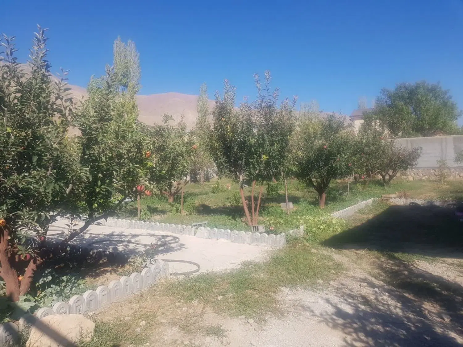 باغچه